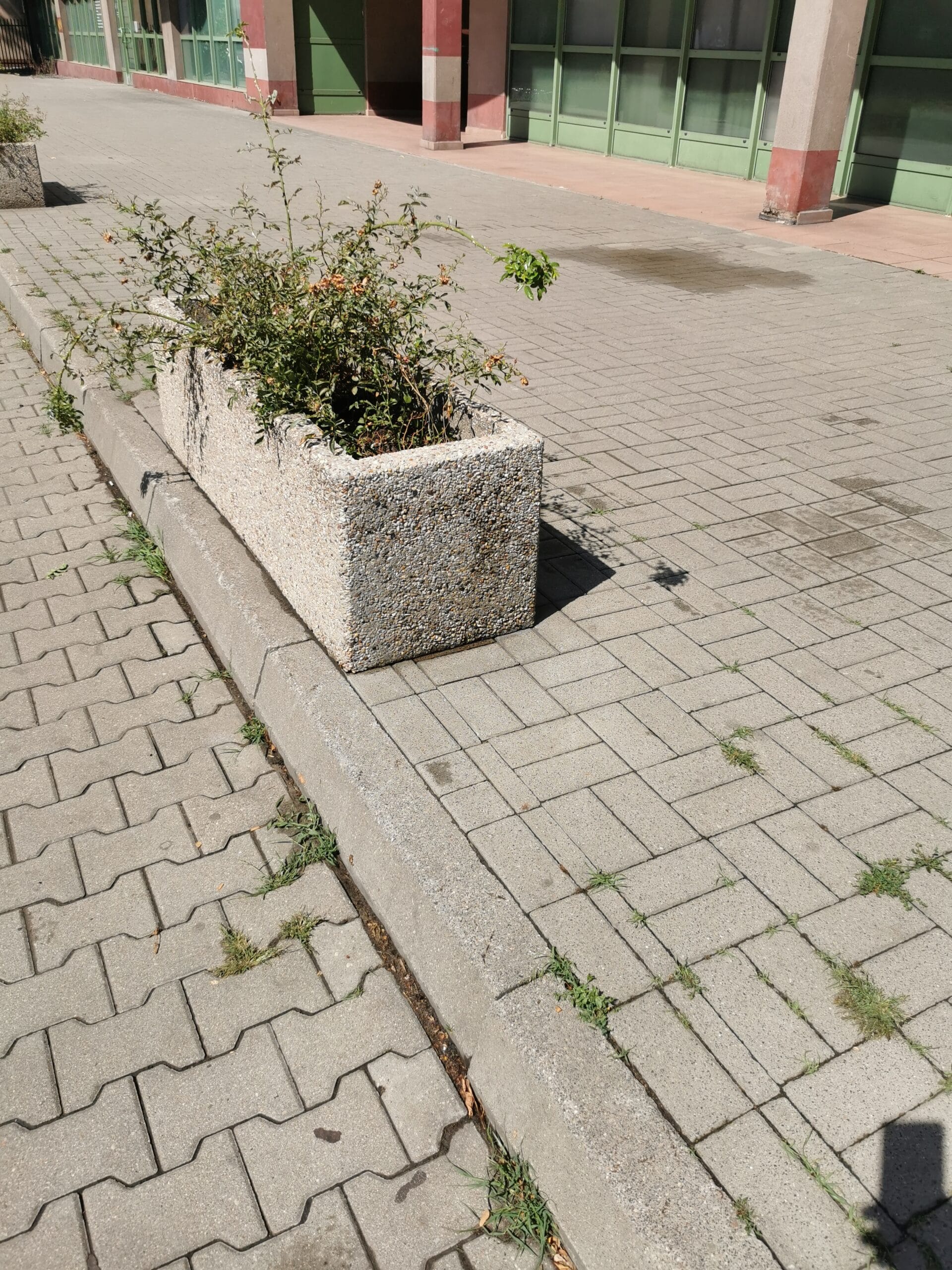 Profesjonalne czyszczenie kostki brukowej w Warszawie